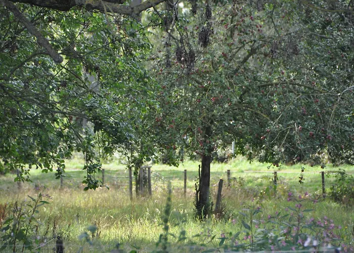 Noortweghe Glamping