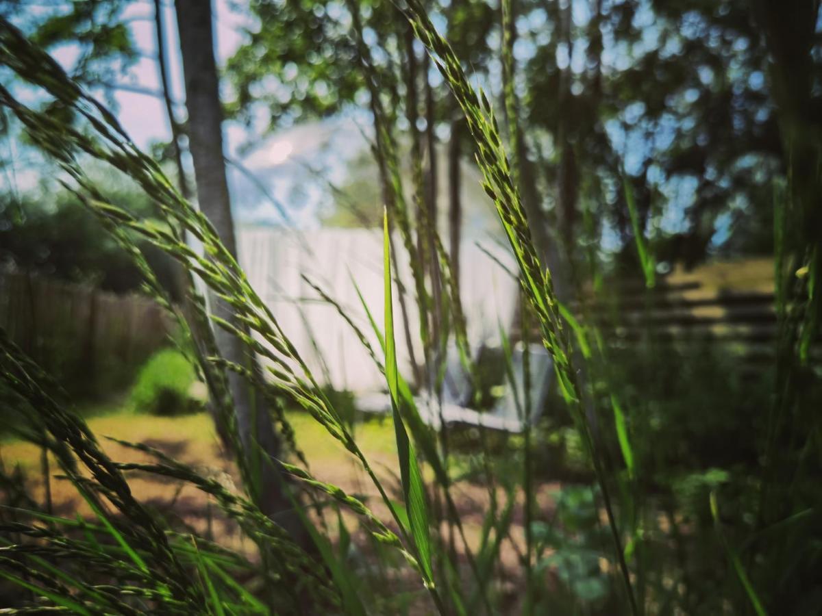Noortweghe Glamping