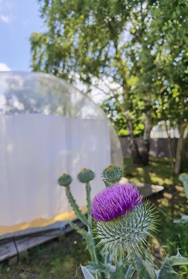 Noortweghe Glamping