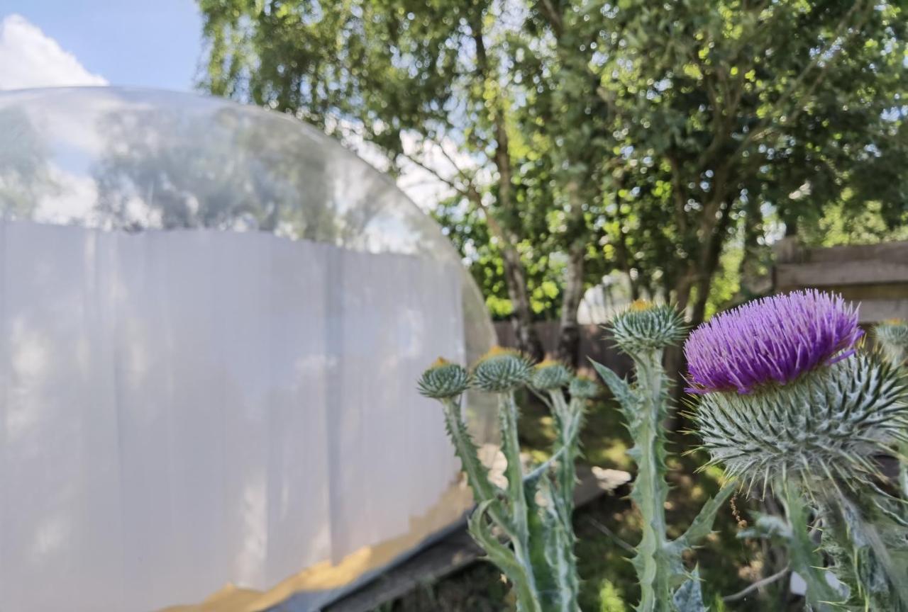 Noortweghe Glamping