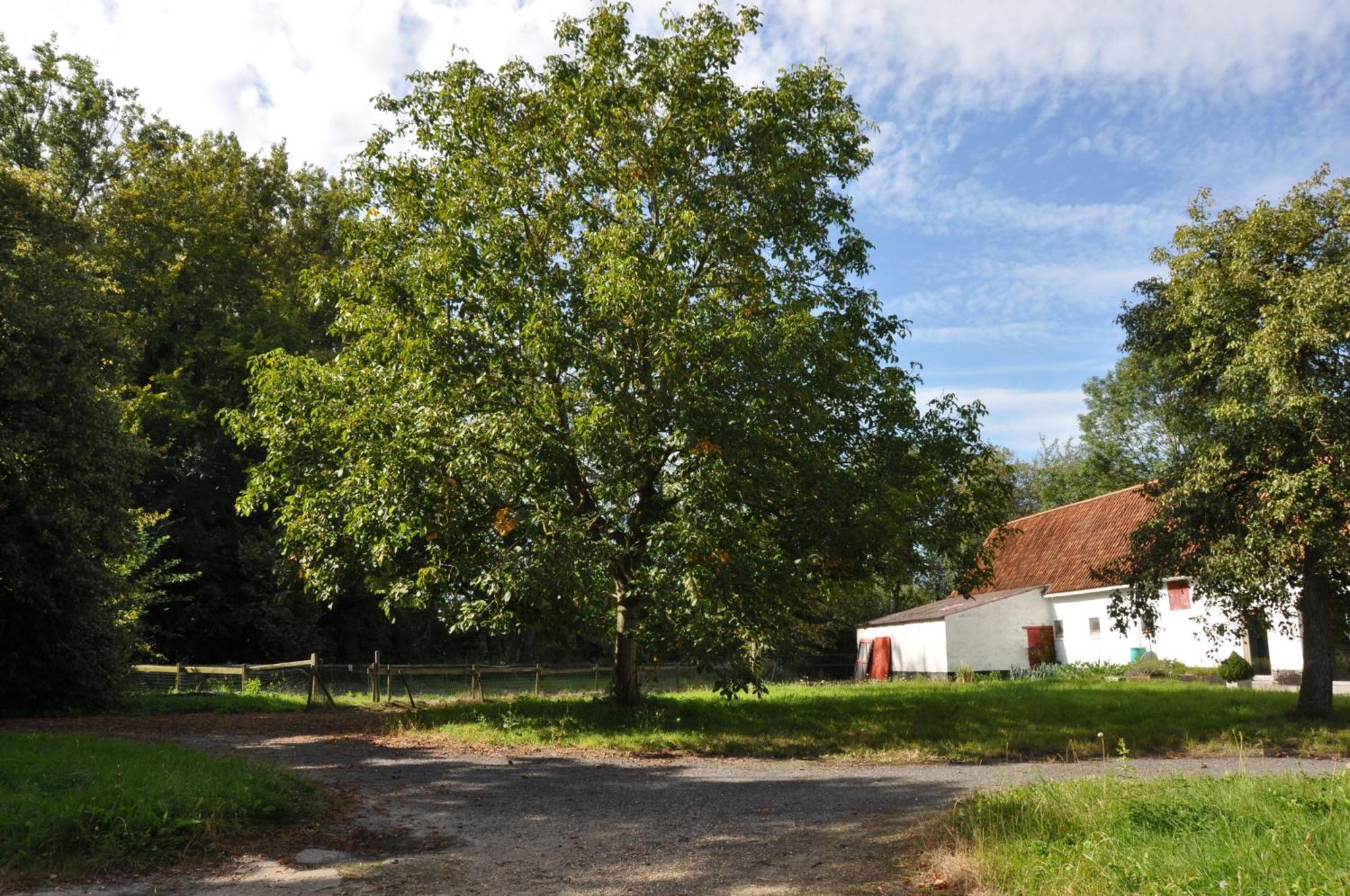 Noortweghe Glamping Campo de lujo *