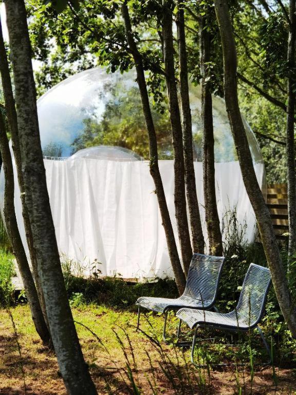 Tente de luxe Noortweghe Glamping *