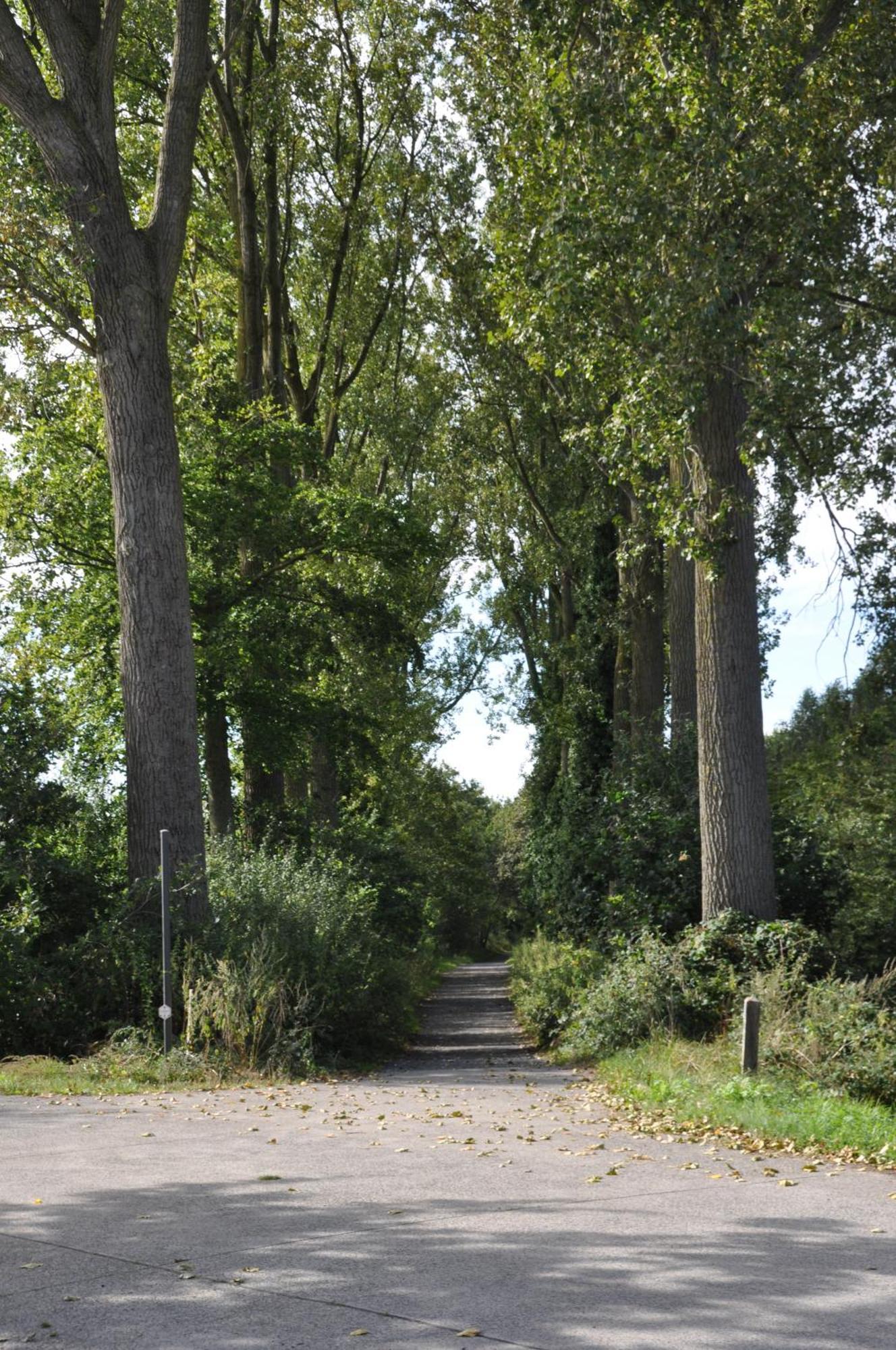 Noortweghe Glamping Tente de luxe Zedelgem
