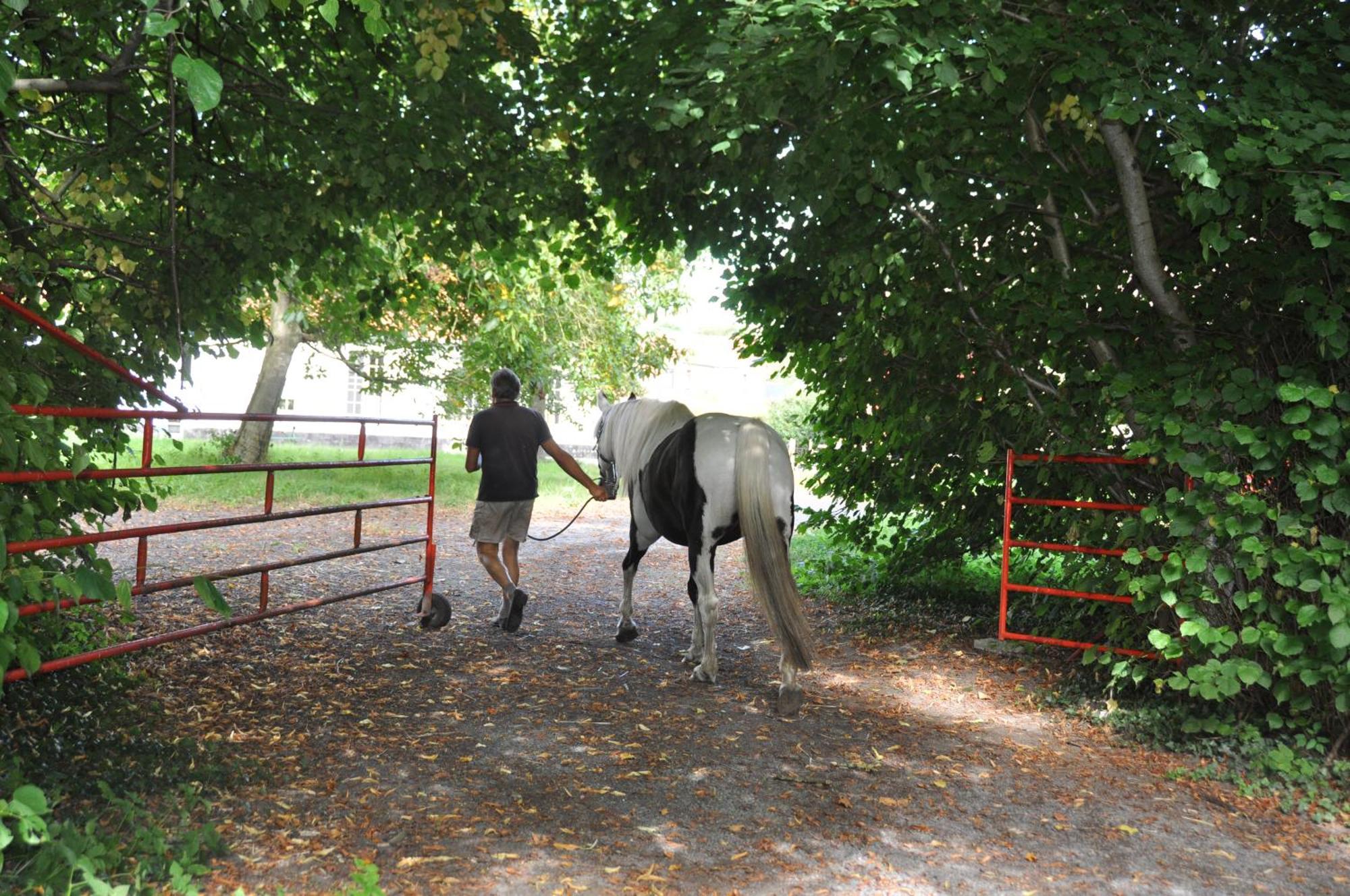 Tente de luxe Noortweghe Glamping Zedelgem