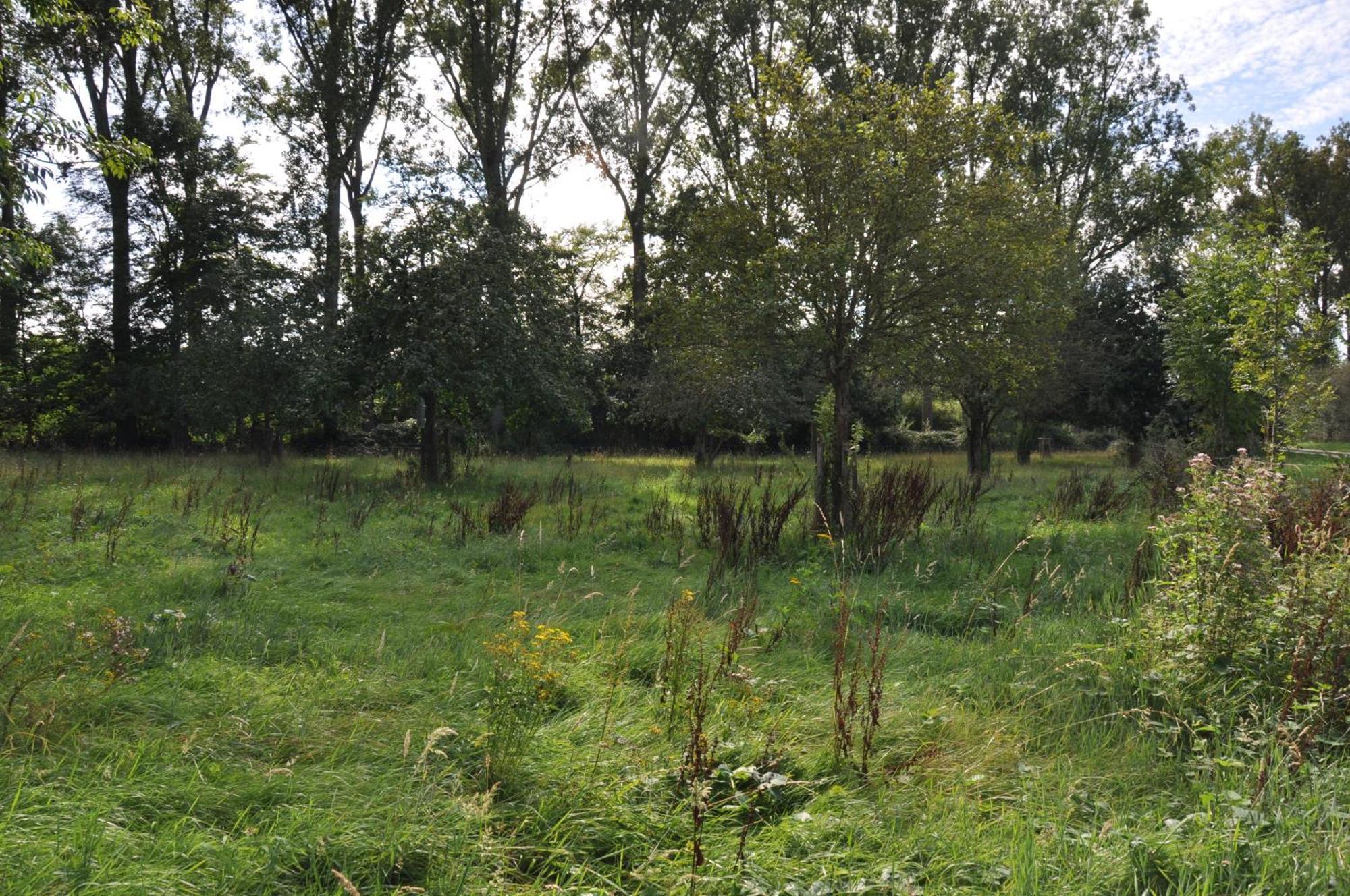 Noortweghe Glamping * Zedelgem