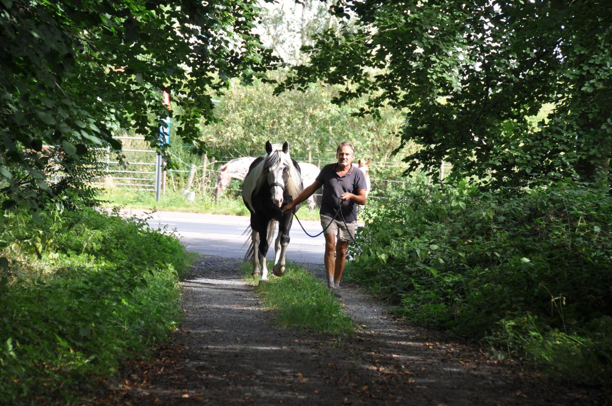 Noortweghe Glamping *