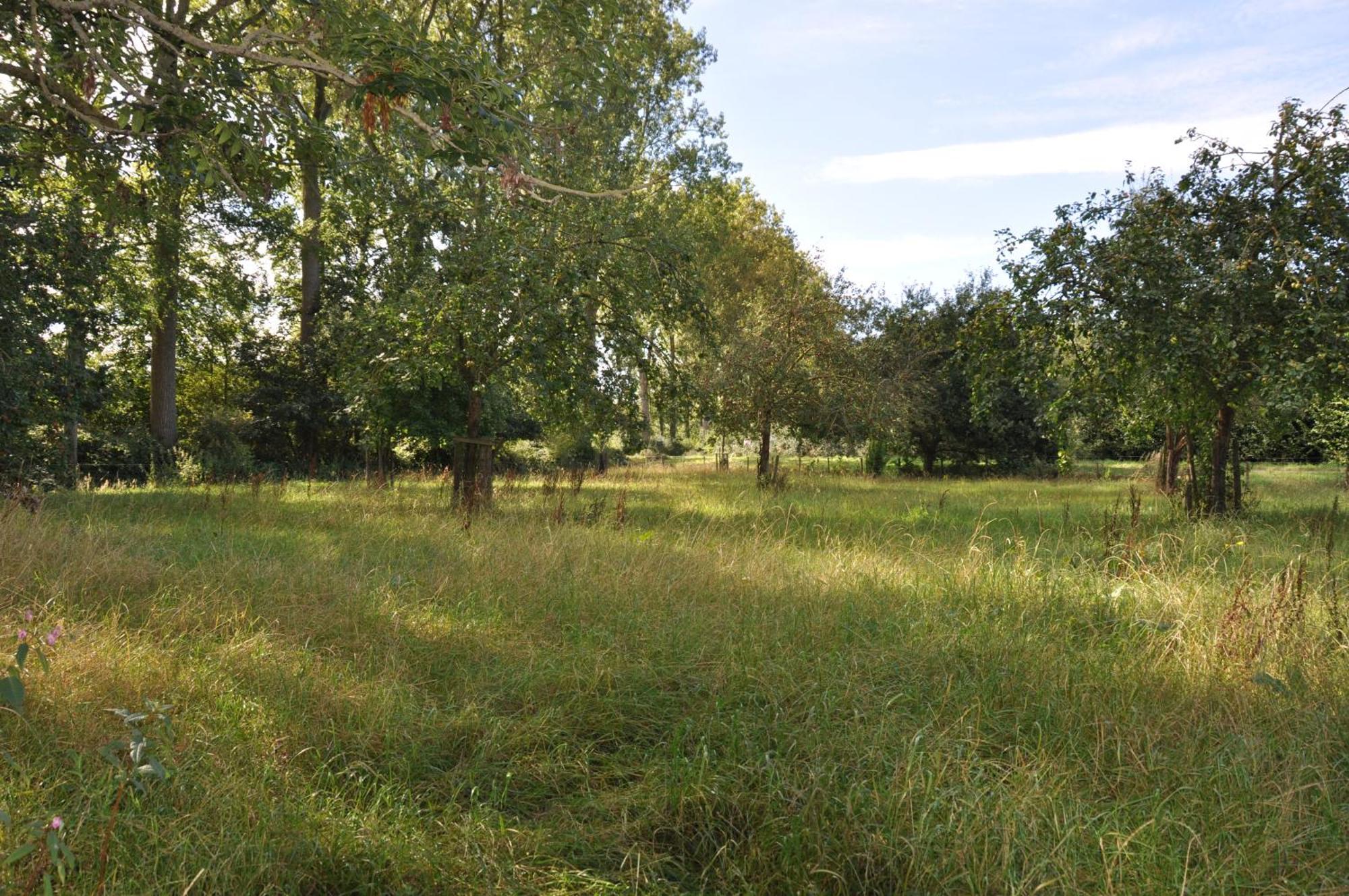 Tente de luxe Noortweghe Glamping *