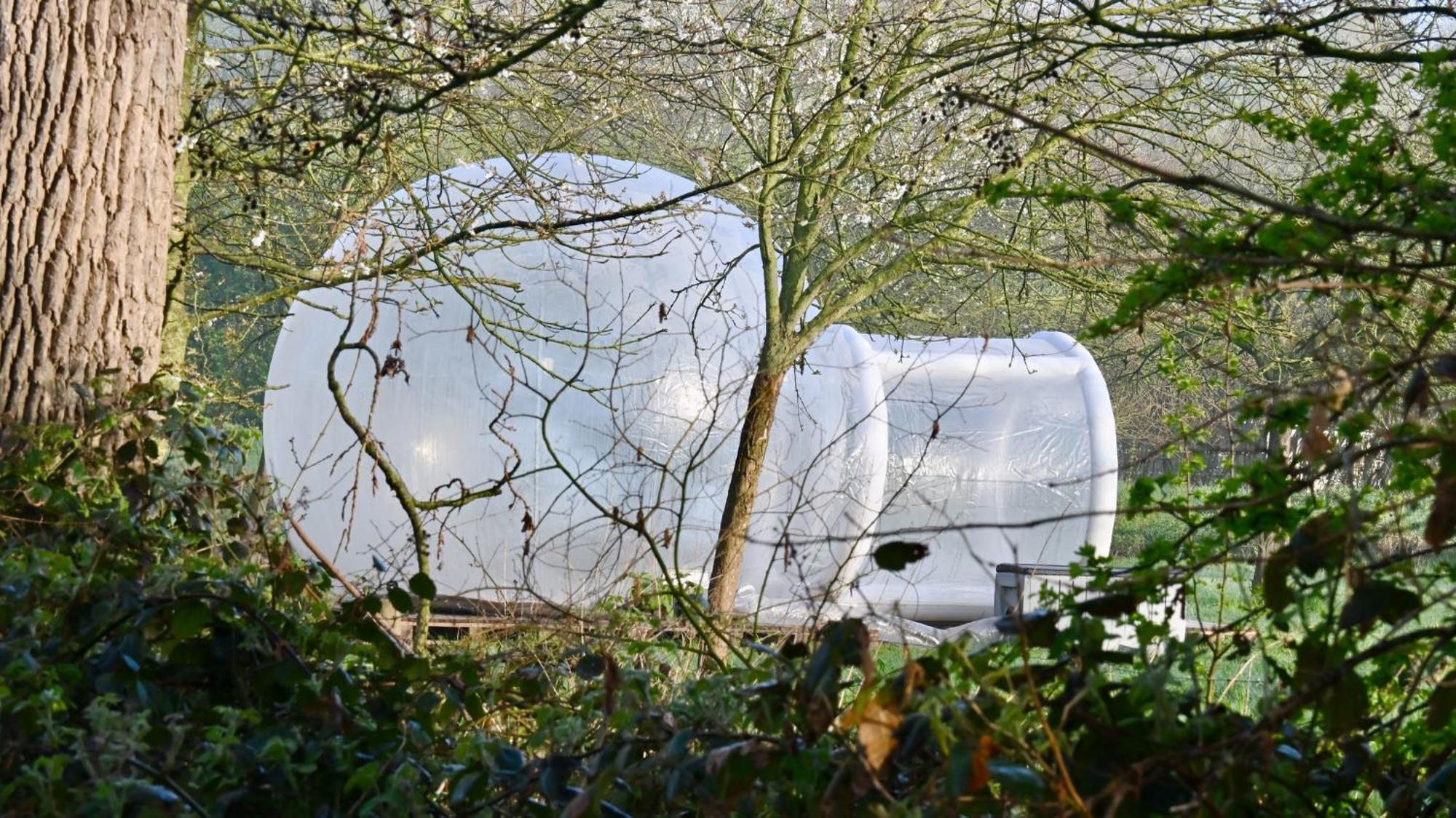 Noortweghe Glamping Tente de luxe